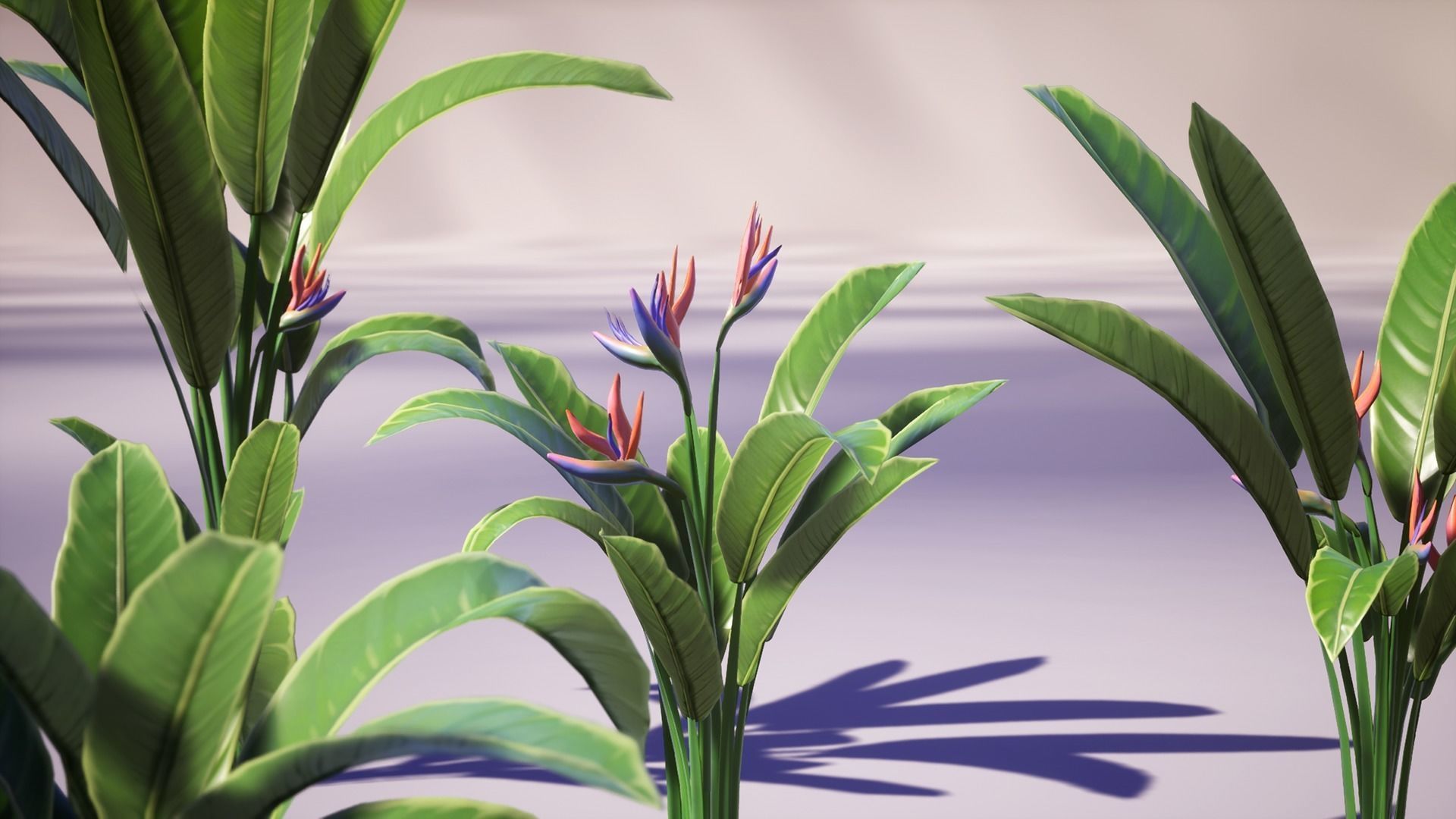 Banana and Strelitzia Plants Low-poly 3D model_9