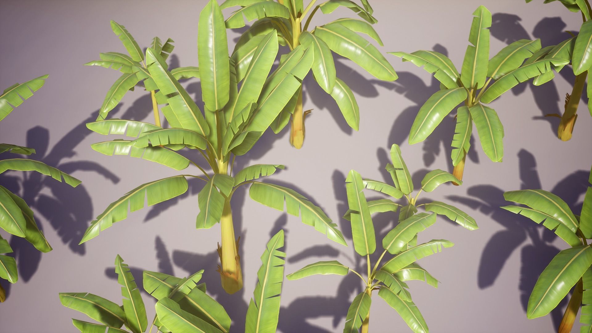 Banana and Strelitzia Plants Low-poly 3D model_16