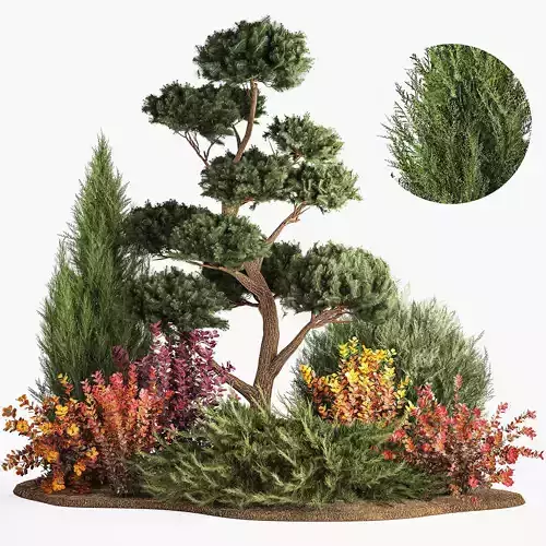 Garden of nivaki thuja juniper and barberry 1174 3D model