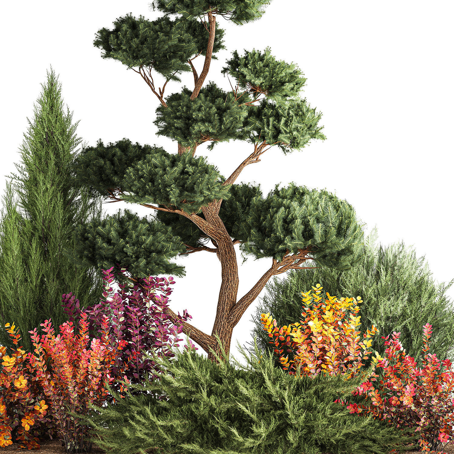 Garden of nivaki thuja juniper and barberry 1174 3D model_2