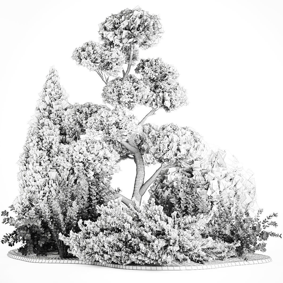 Garden of nivaki thuja juniper and barberry 1174 3D model_6