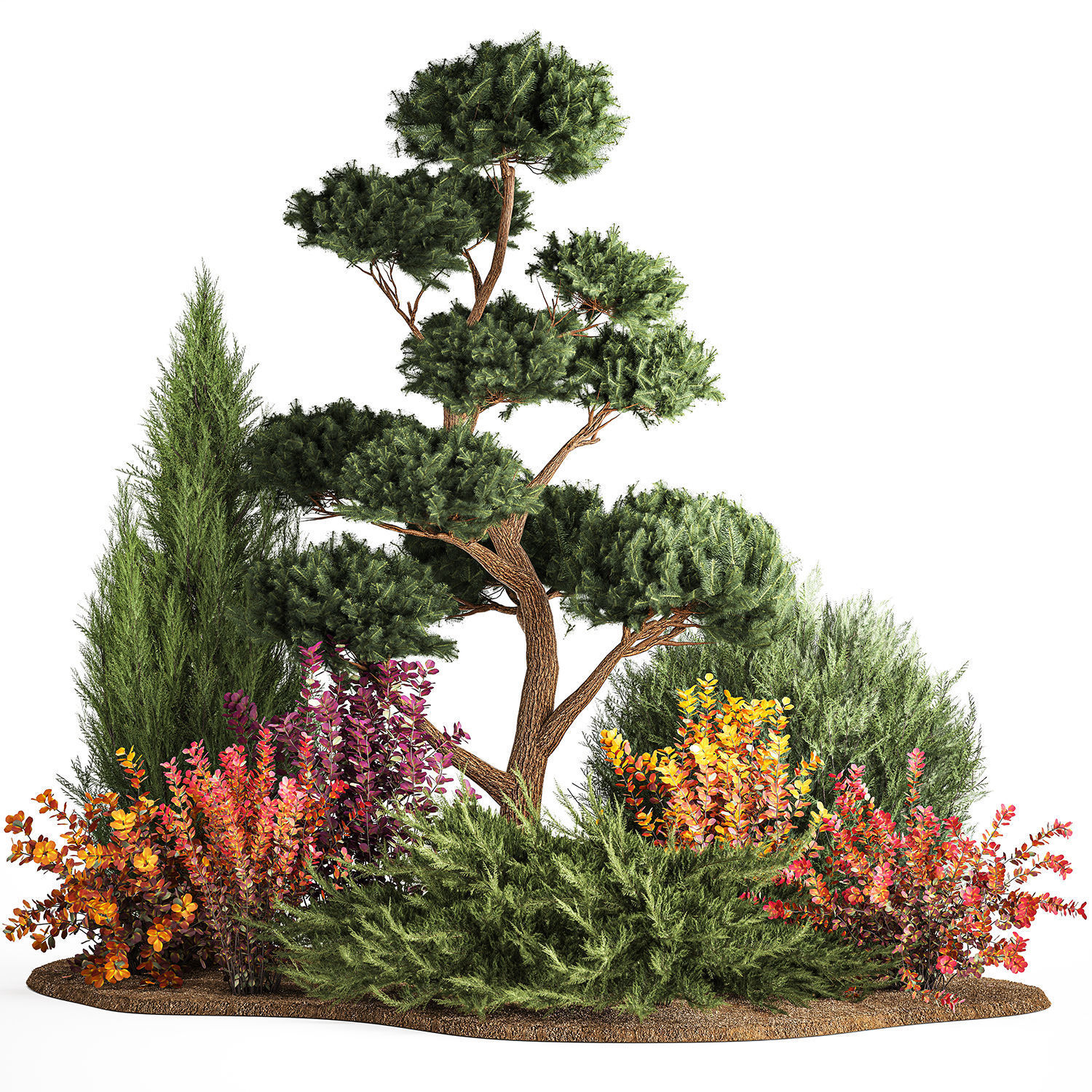 Garden of nivaki thuja juniper and barberry 1174 3D model_5