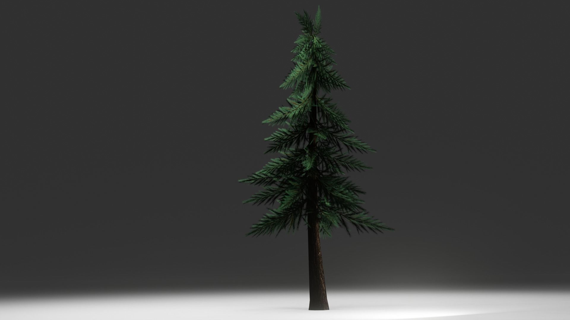 Pine Tree Low-poly 3D model_1
