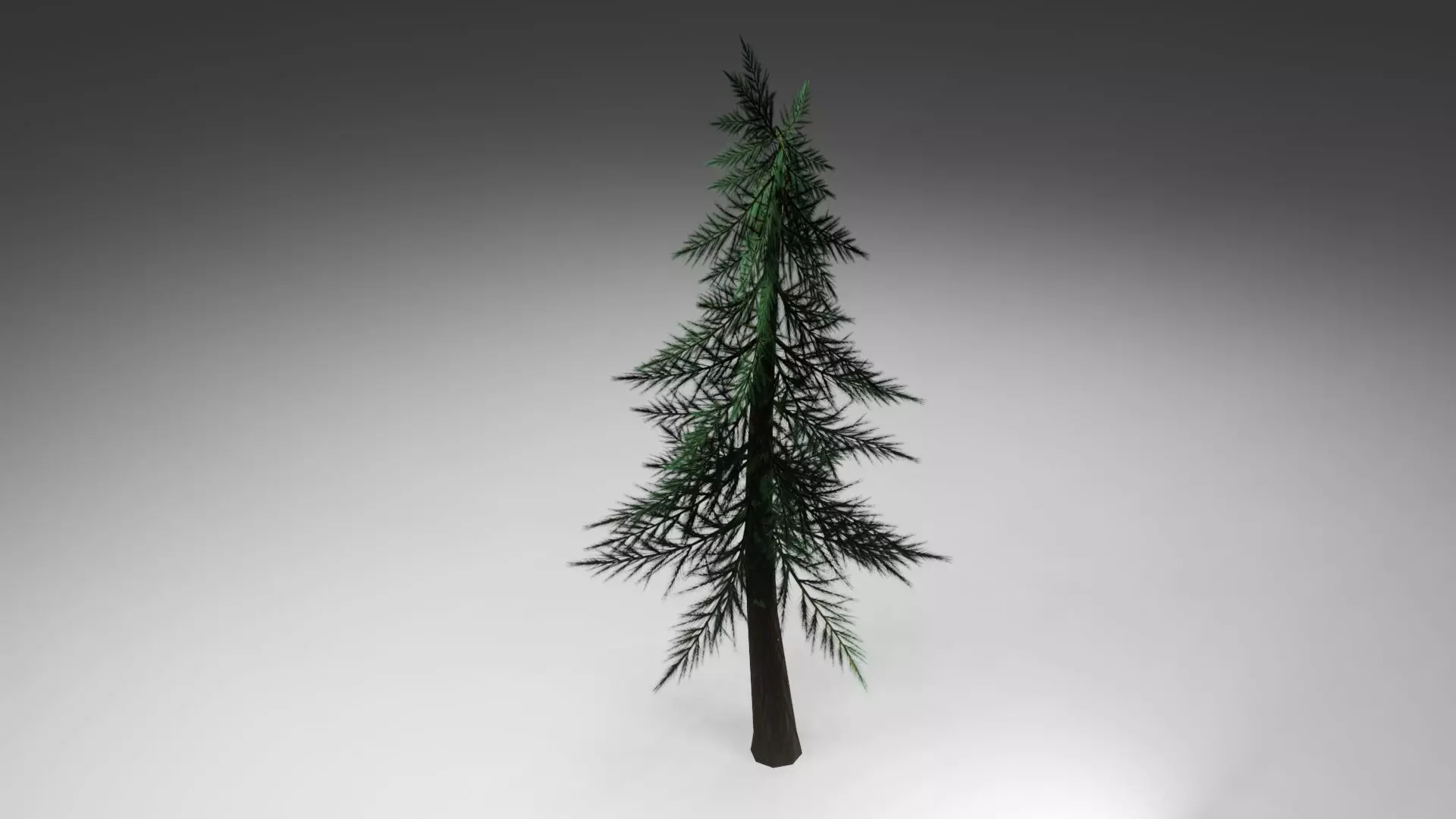Pine Tree Low-poly 3D model_0