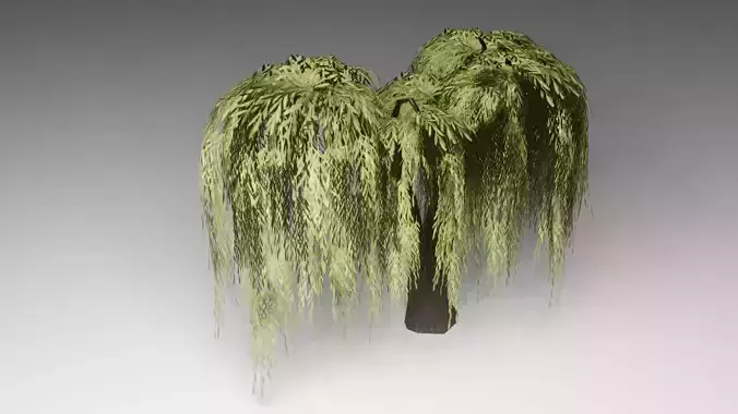 Willow Tree Game Ready  Low-poly 3D model