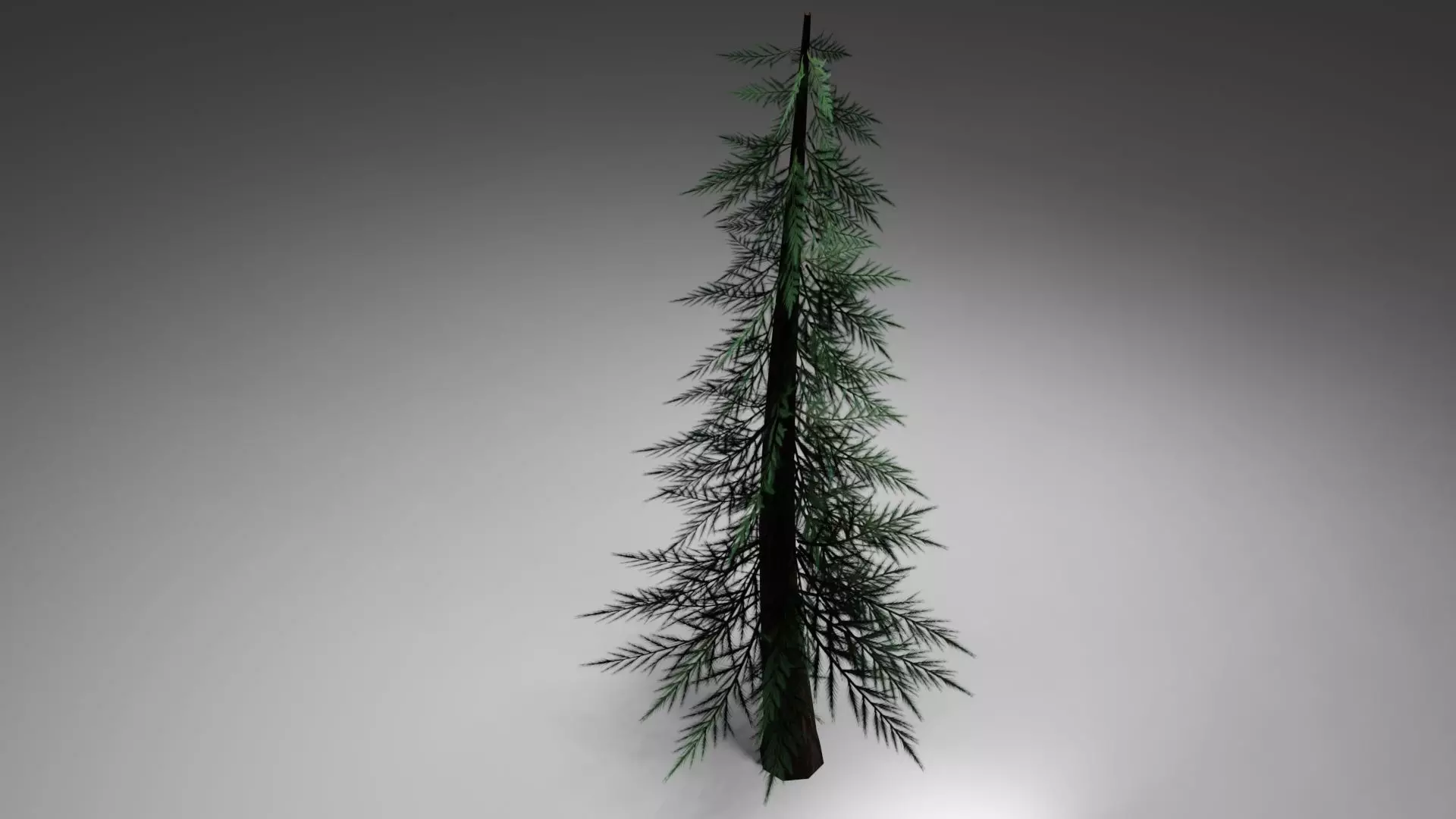 Tree Pine Game Ready Low-poly 3D model_0