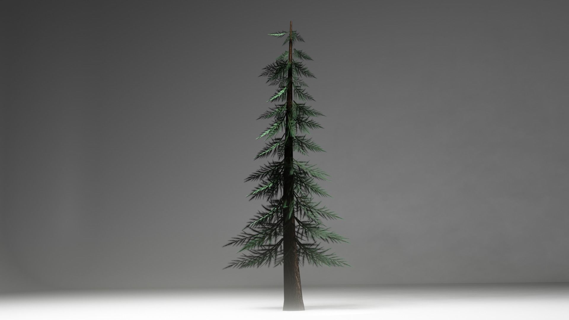 Tree Pine Game Ready Low-poly 3D model_1