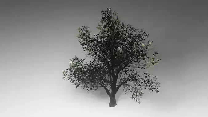 Tree Game Ready eucalyptus