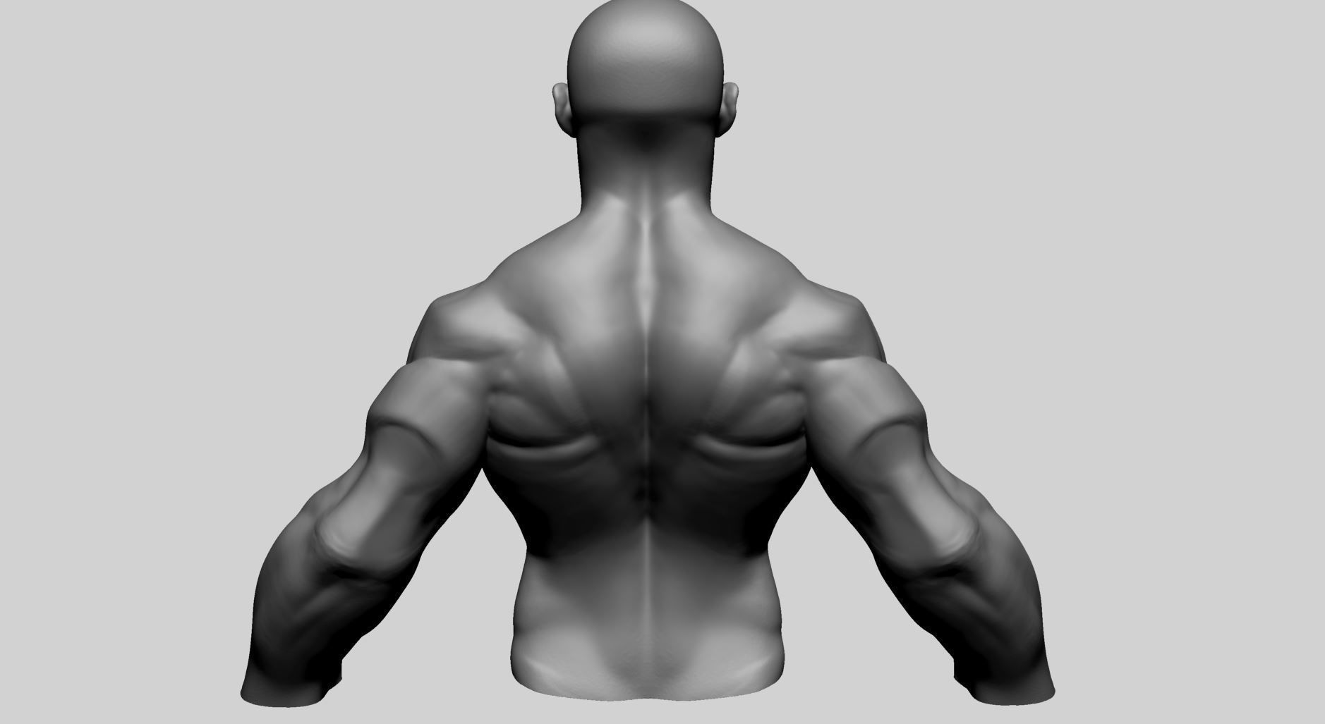 Stylized Male Upper Body 3D model_5