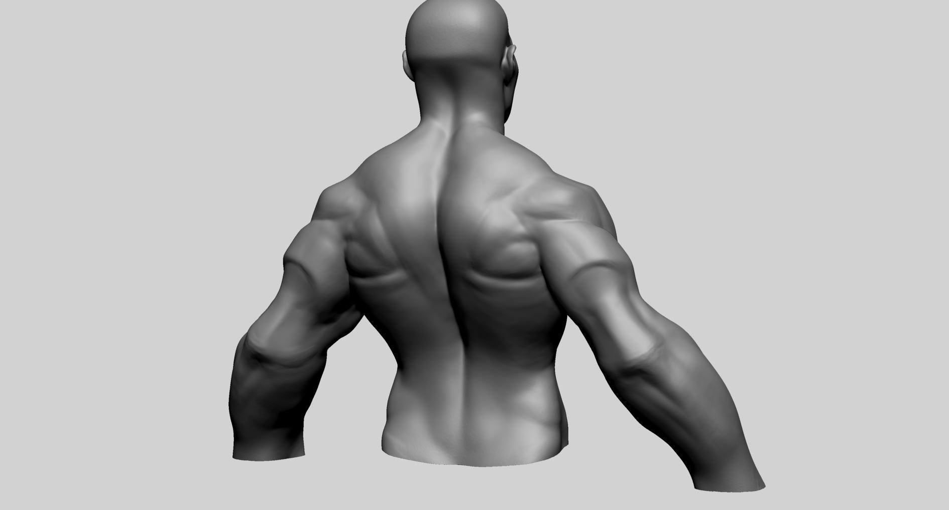 Stylized Male Upper Body 3D model_4