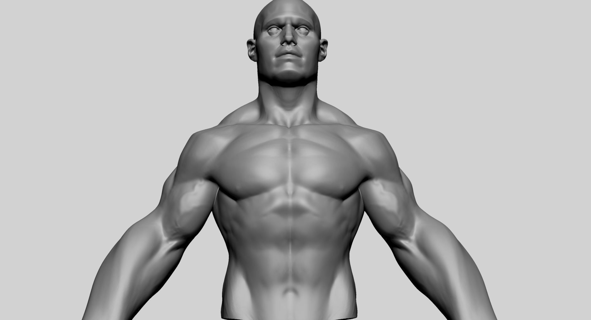 Stylized Male Upper Body 3D model_8