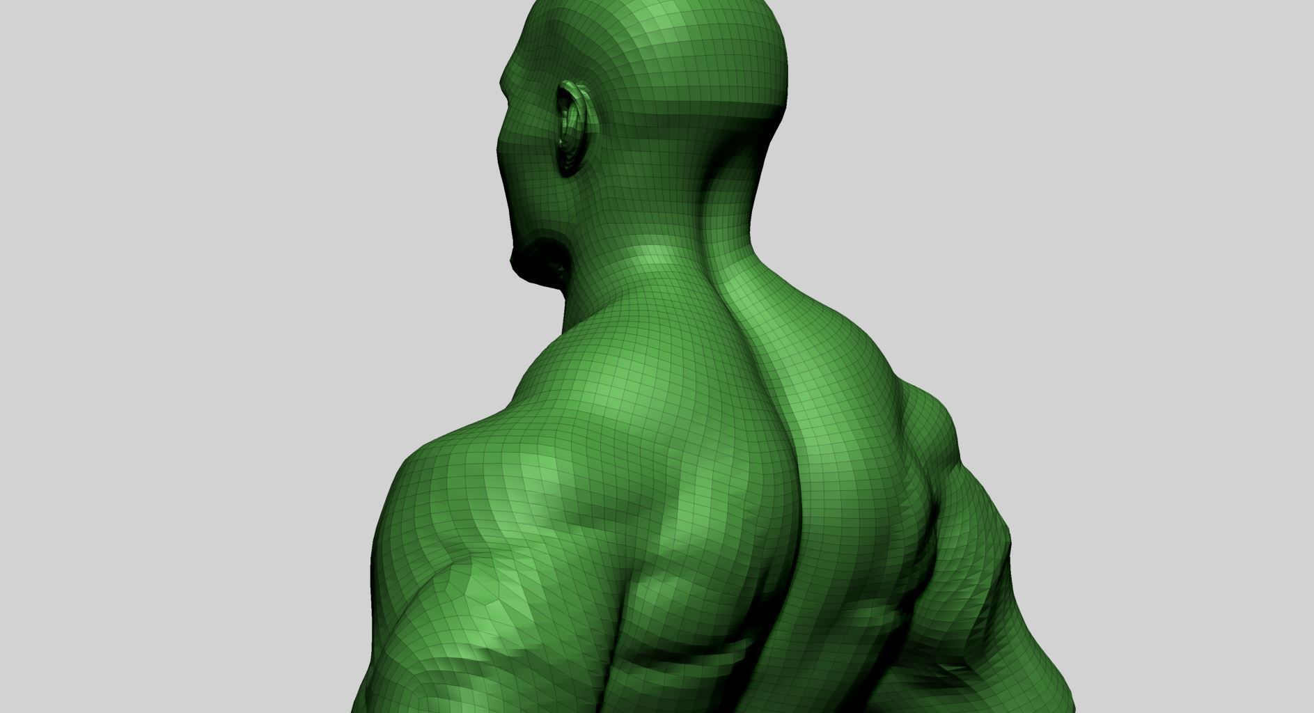 Stylized Male Upper Body 3D model_15