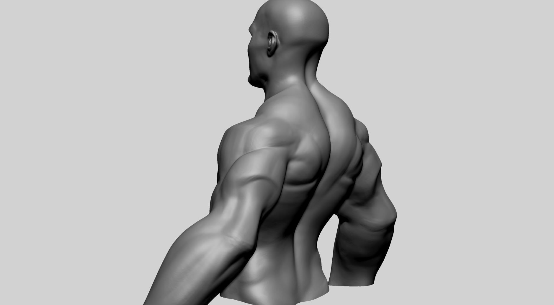Stylized Male Upper Body 3D model_6