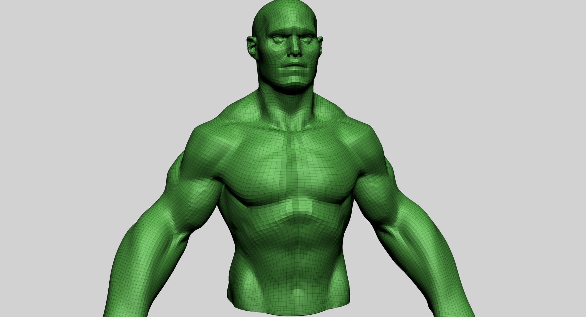 Stylized Male Upper Body 3D model_12