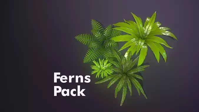 Ferns Pack Low-poly 3D model