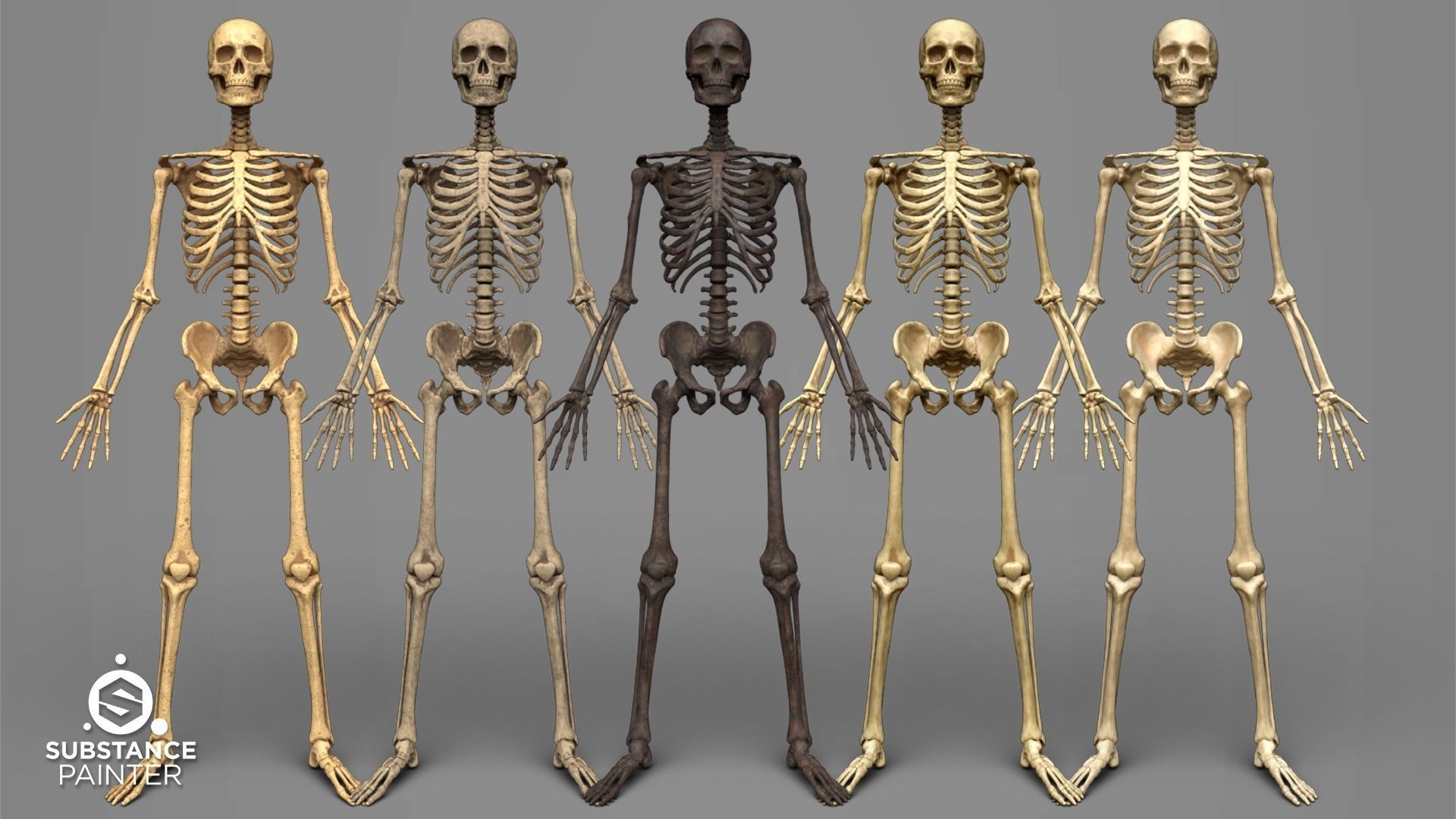 Bones Smart Material - Substance Painter 3D model_6