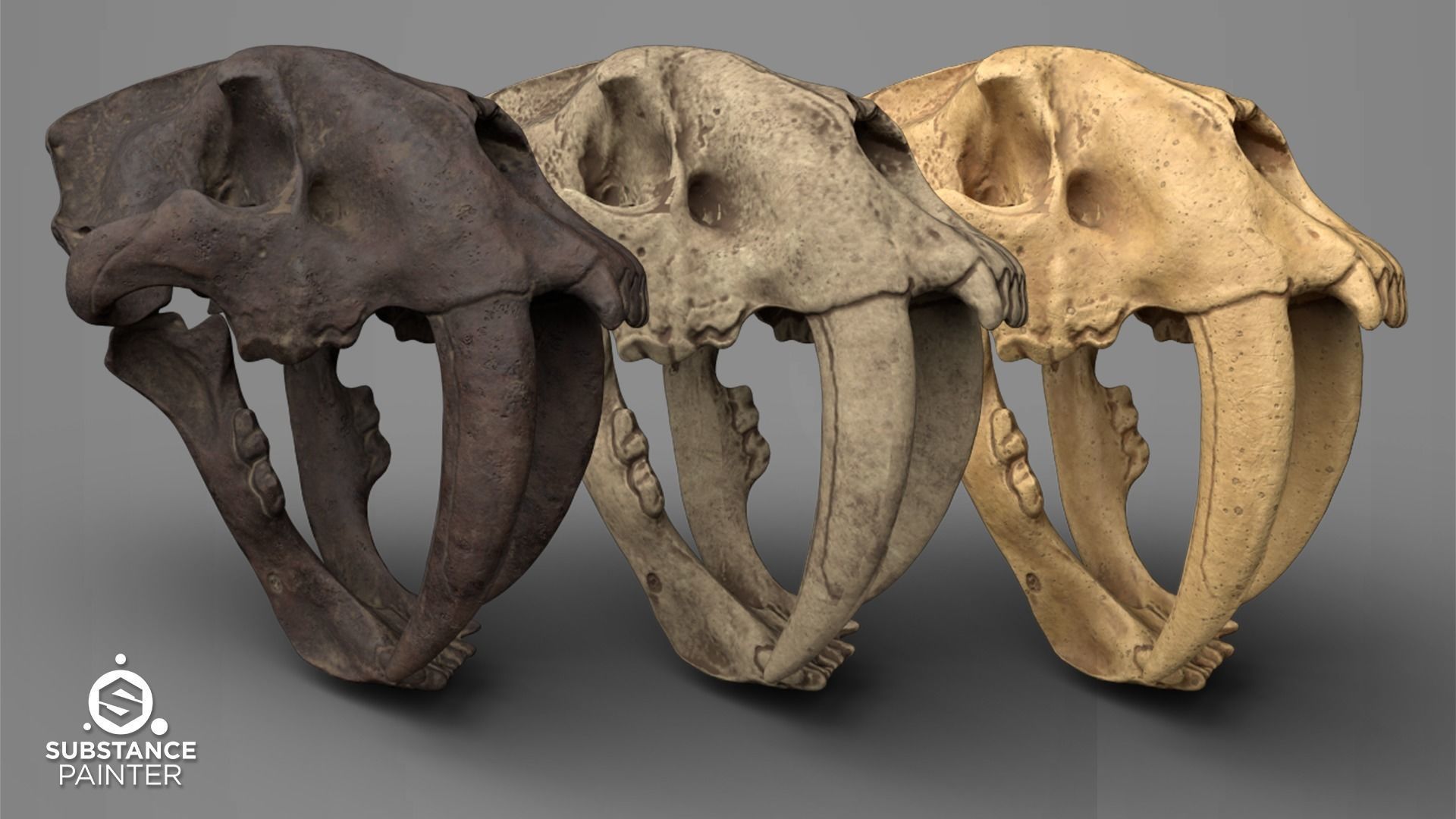 Bones Smart Material - Substance Painter 3D model_4