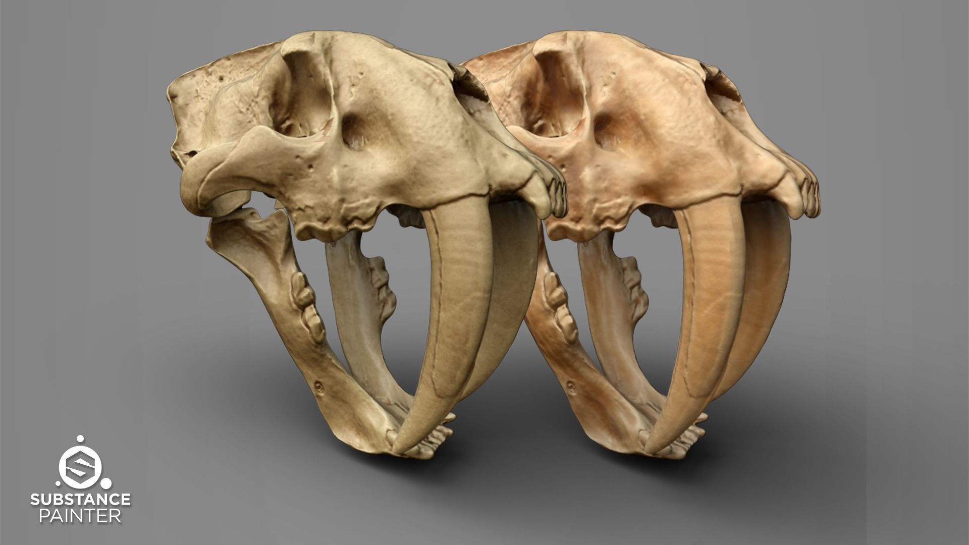 Bones Smart Material - Substance Painter 3D model_5