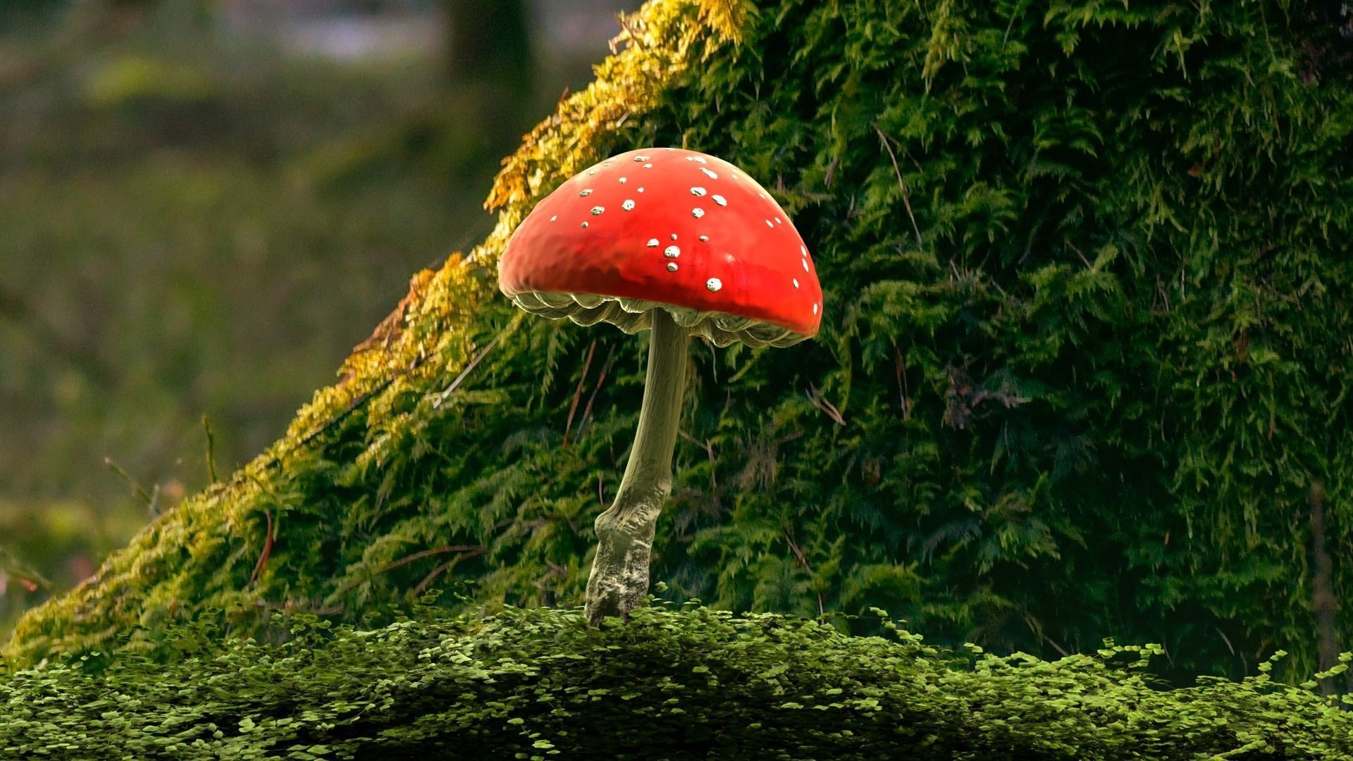 Red mushroom Low-poly 3D model_2