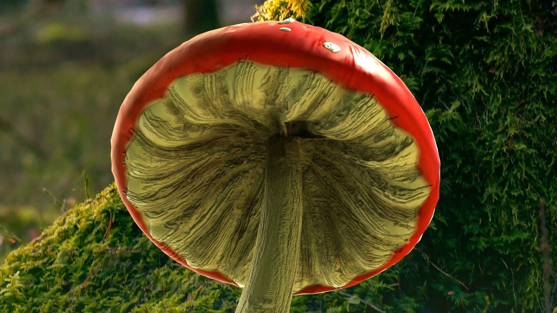 Red mushroom Low-poly 3D model_6