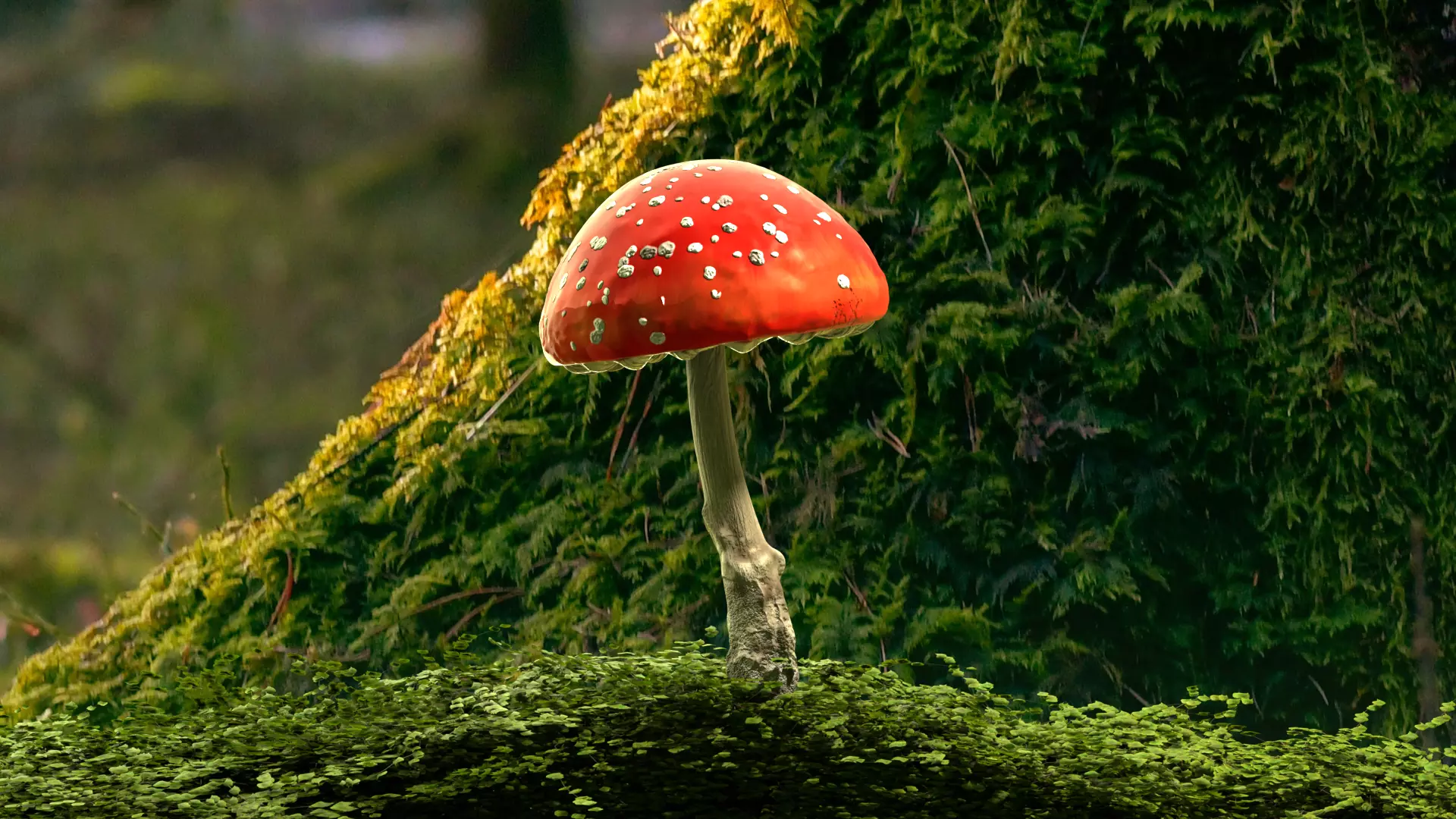 Red mushroom Low-poly 3D model_0