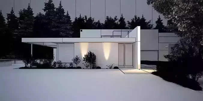 Modern House In A Forest