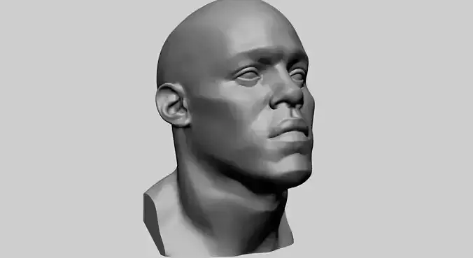 Male Head Printable B 3D print model
