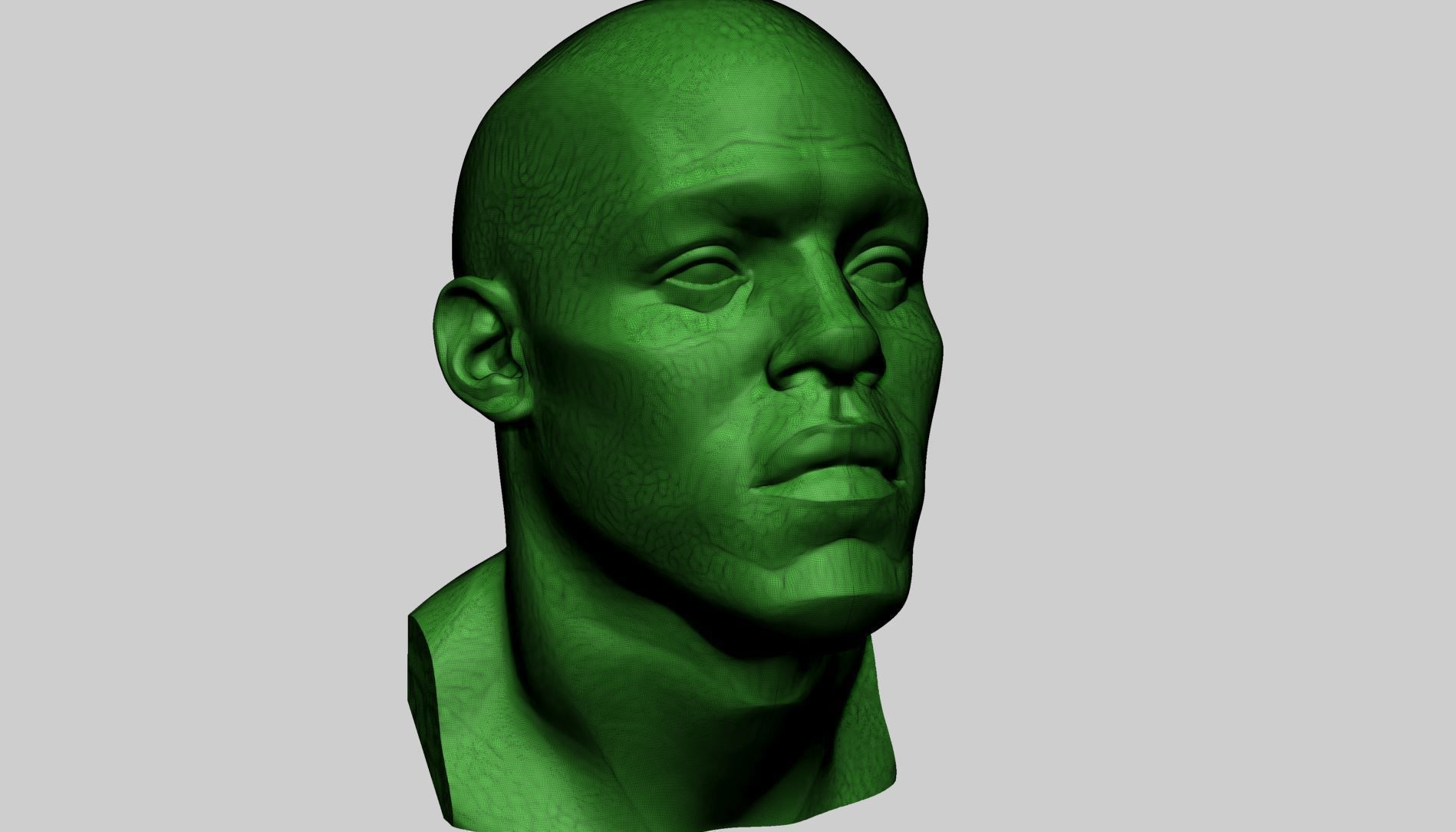 Male Head Printable B 3D print model_12