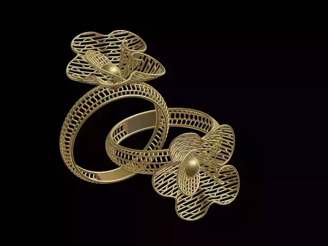 Turkey Ring 05 NOKTA MODEL 3D print model