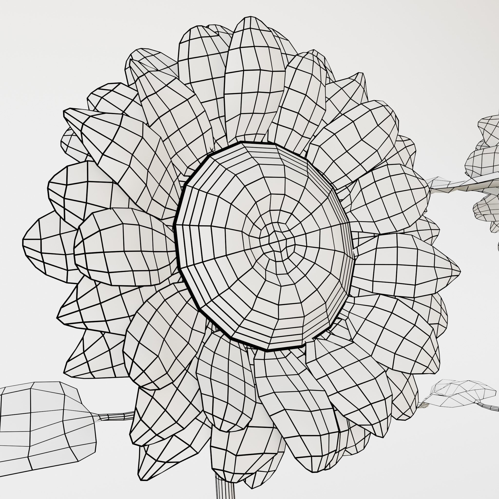 Sunflower 3D model_14