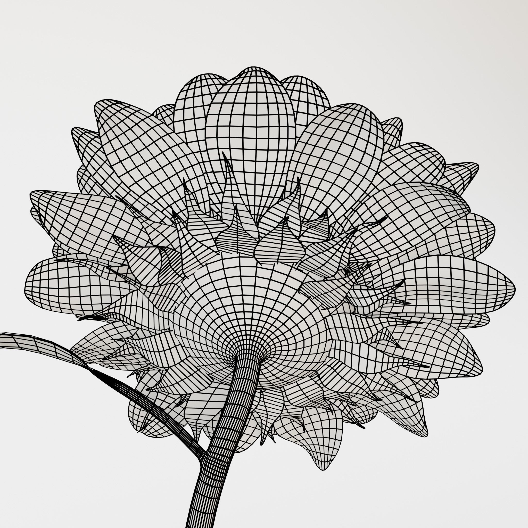 Sunflower 3D model_18