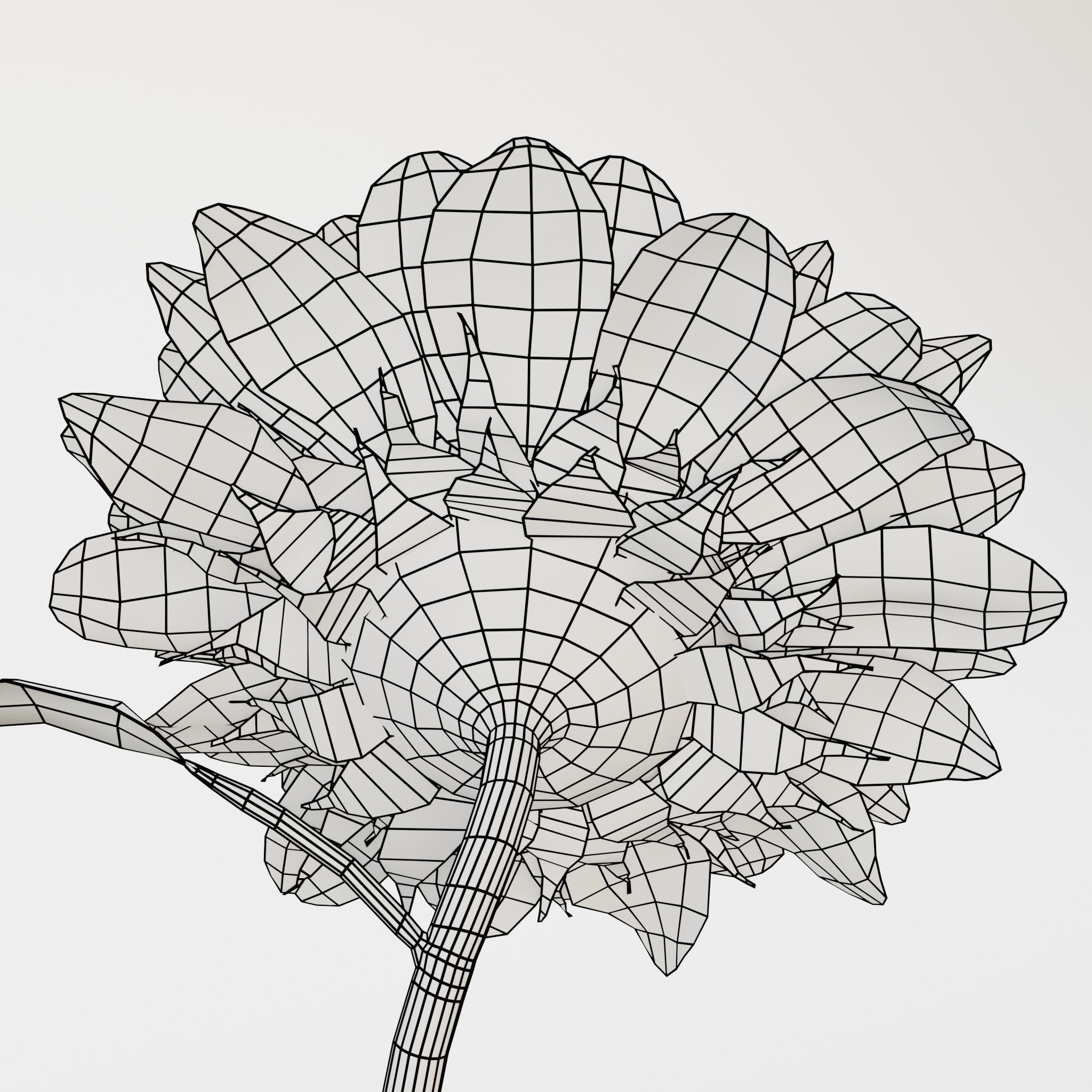 Sunflower 3D model_15