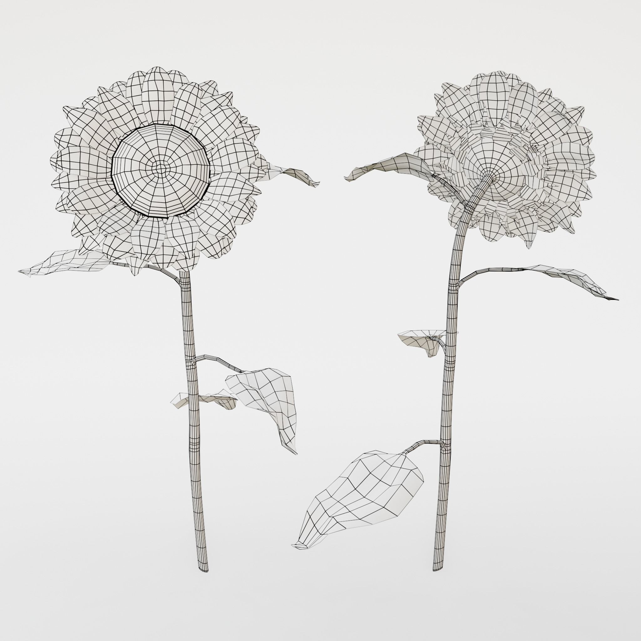 Sunflower 3D model_13