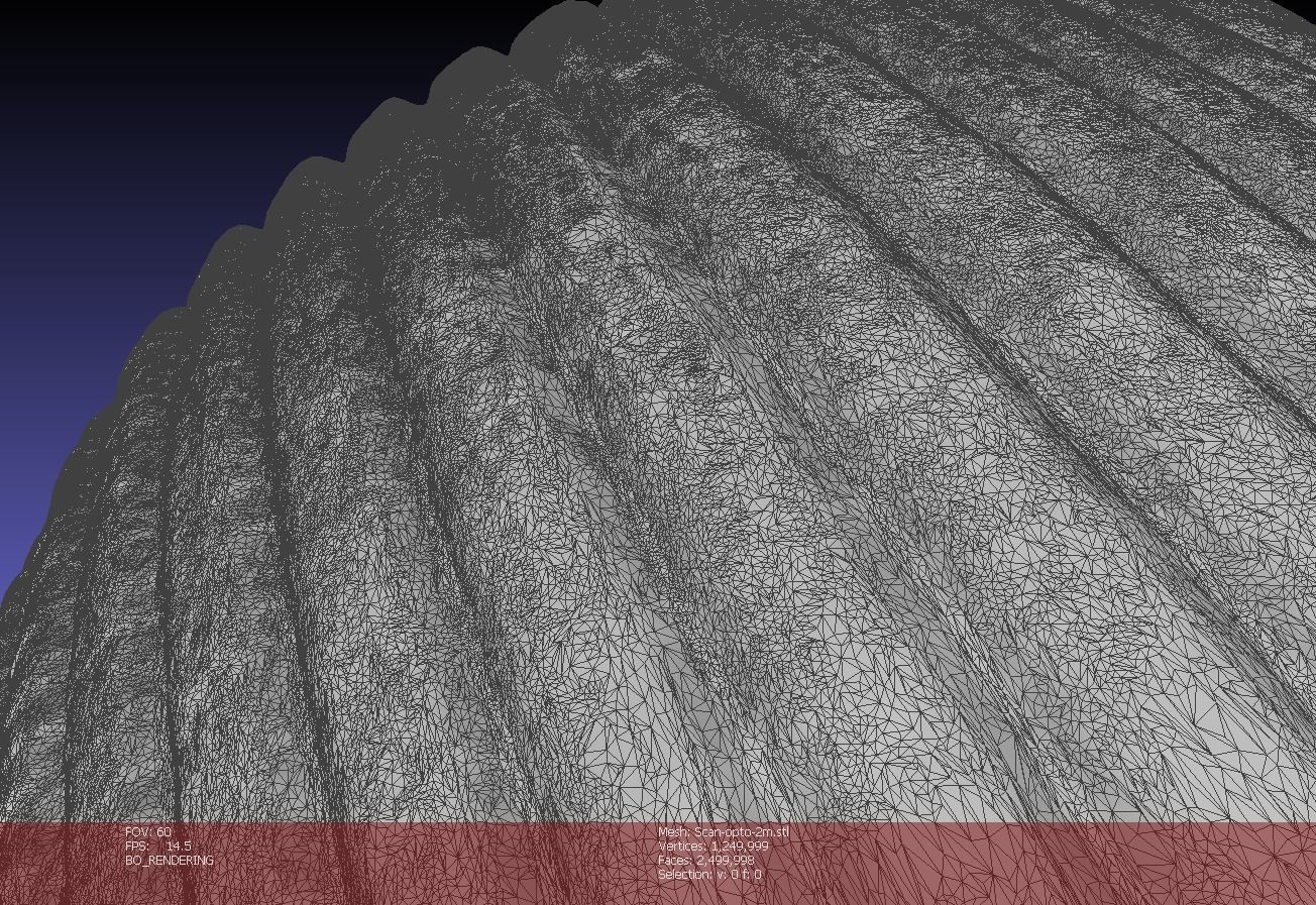 Atlantic giant cockle scallop shell  3D model_6