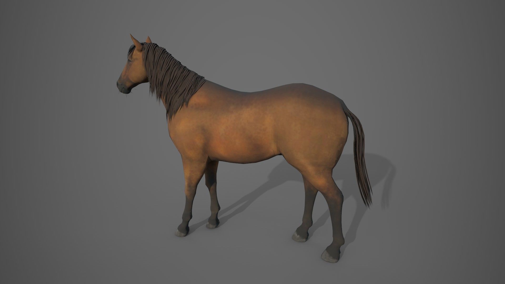 Horse Brown 3D model_9