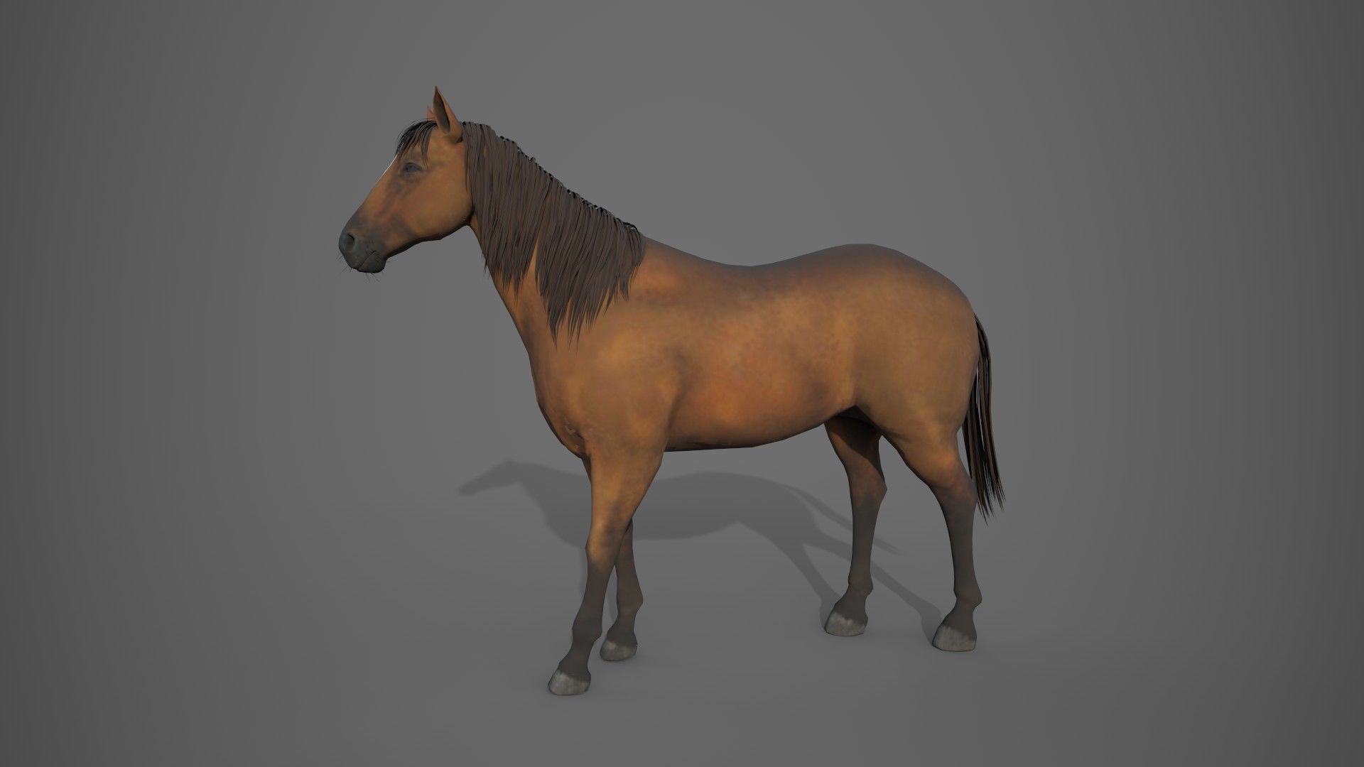 Horse Brown 3D model_5