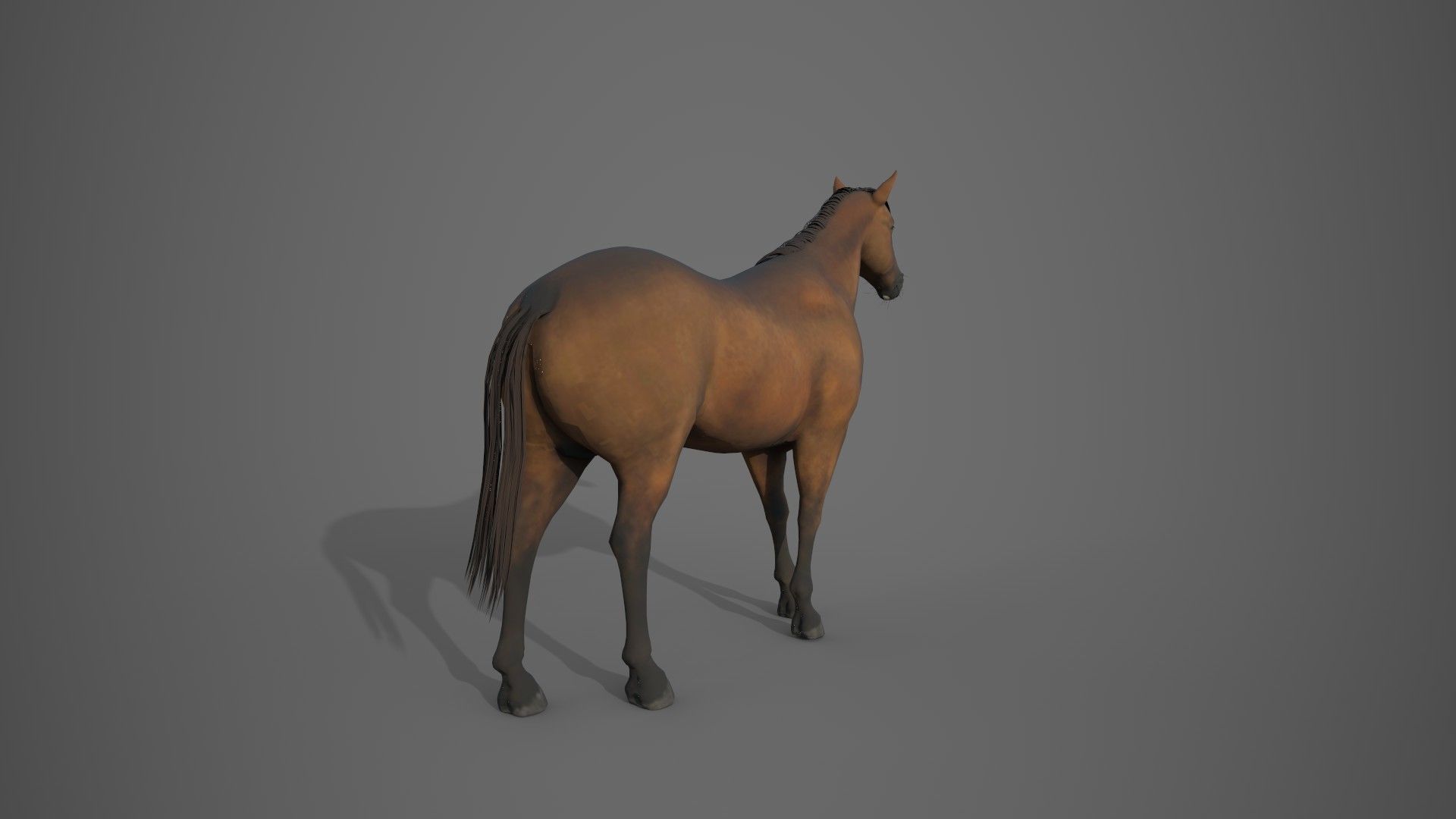 Horse Brown 3D model_12