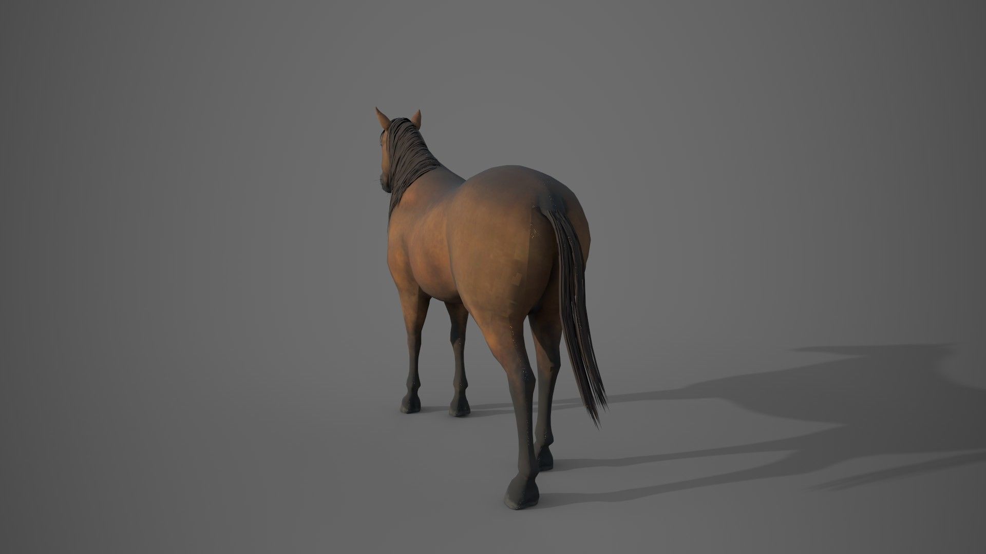 Horse Brown 3D model_11