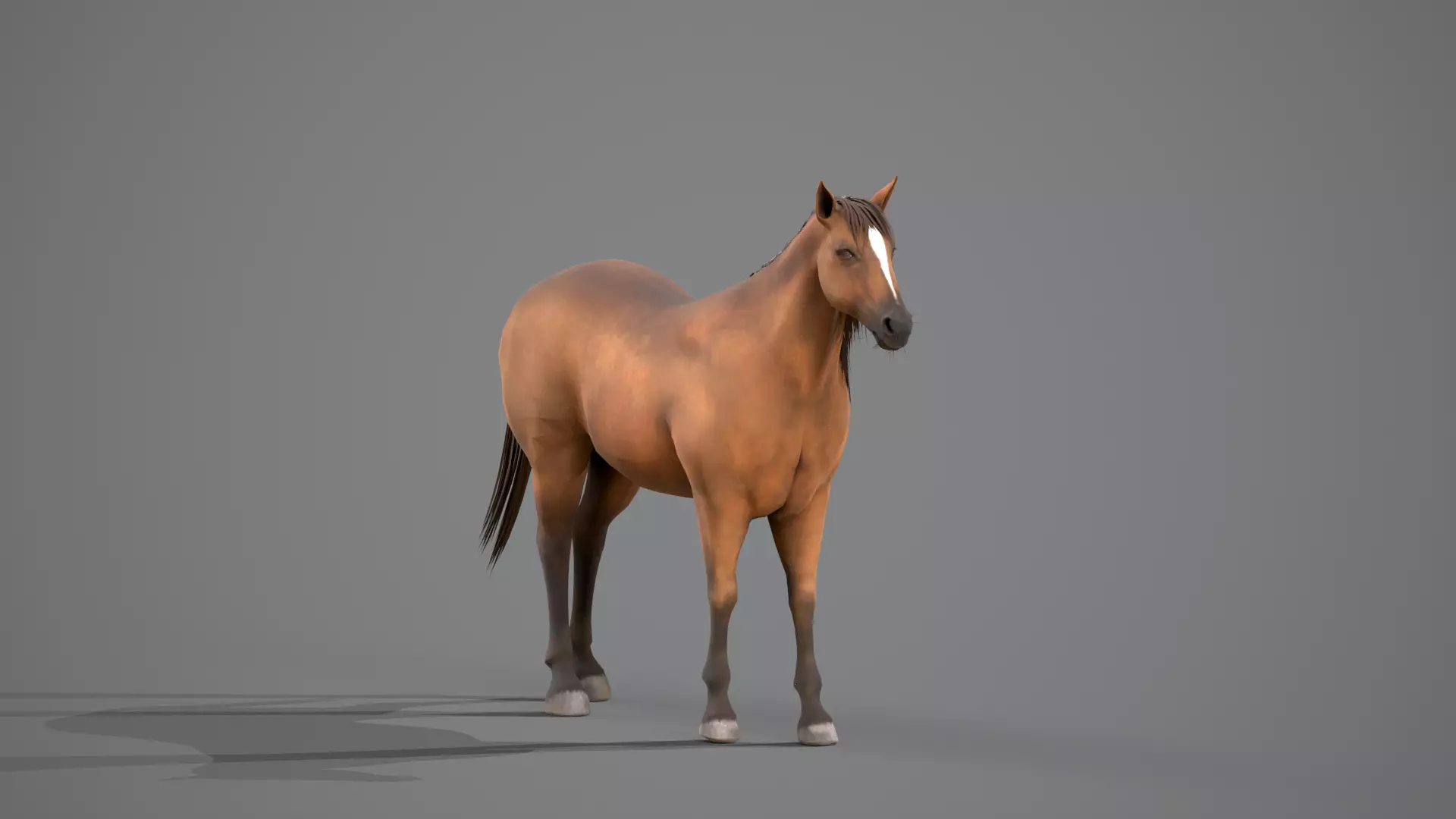 Horse Brown 3D model_0