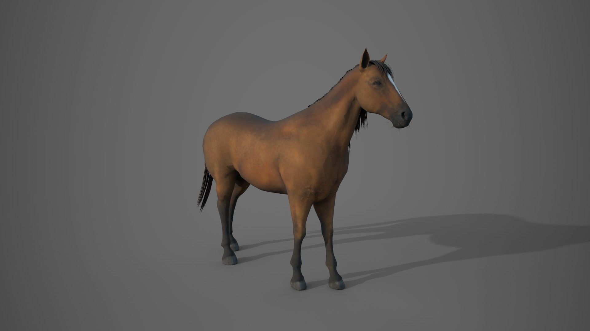 Horse Brown 3D model_15