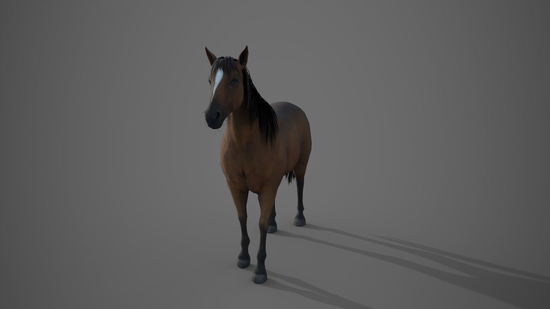 Horse Brown 3D model_6
