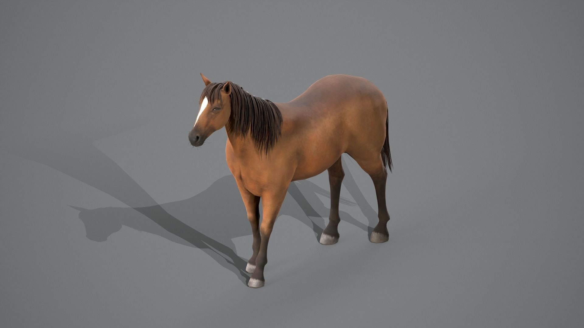 Horse Brown 3D model_19