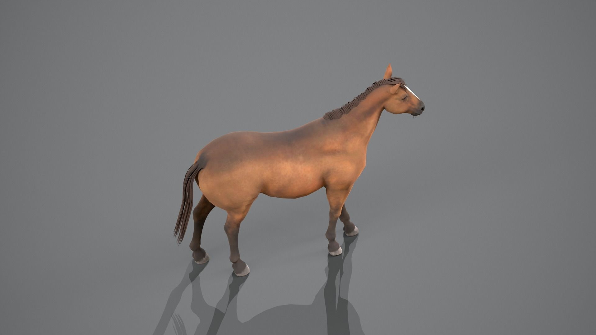 Horse Brown 3D model_17