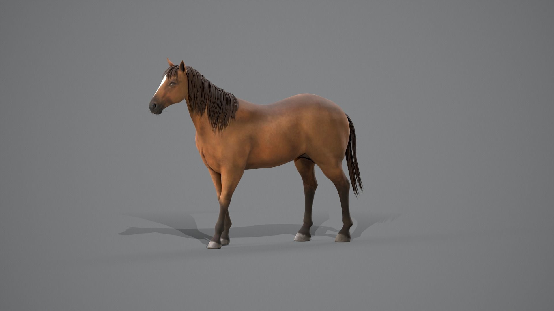 Horse Brown 3D model_3