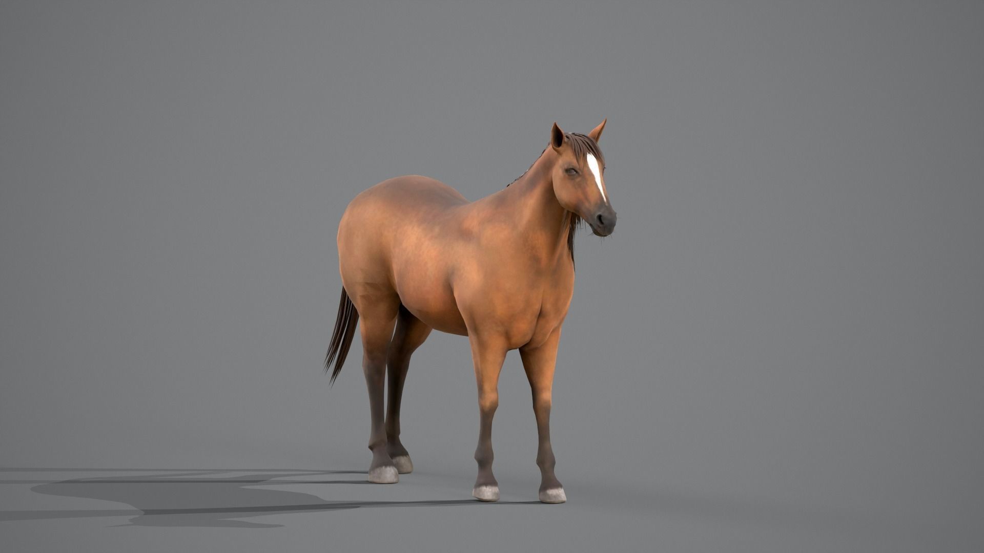 Horse Brown 3D model_18