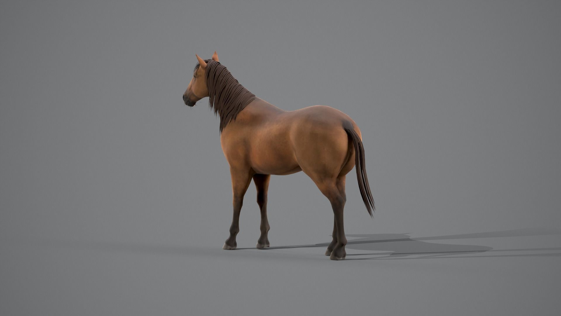 Horse Brown 3D model_16