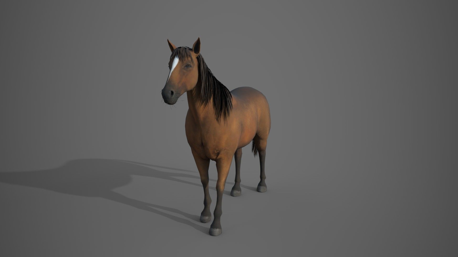 Horse Brown 3D model_7