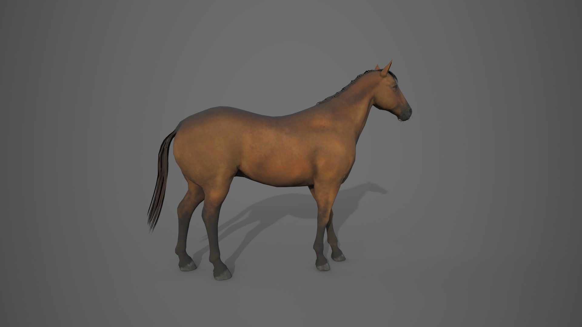 Horse Brown 3D model_14