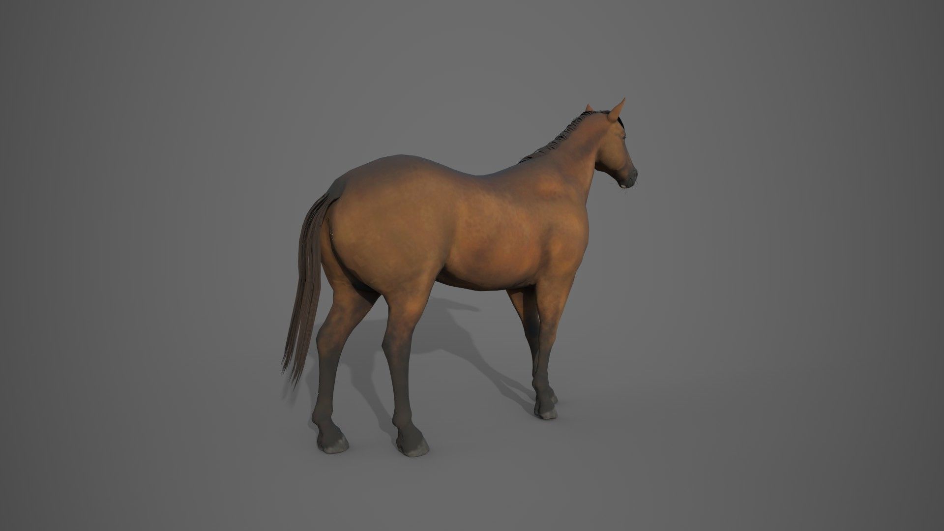 Horse Brown 3D model_13
