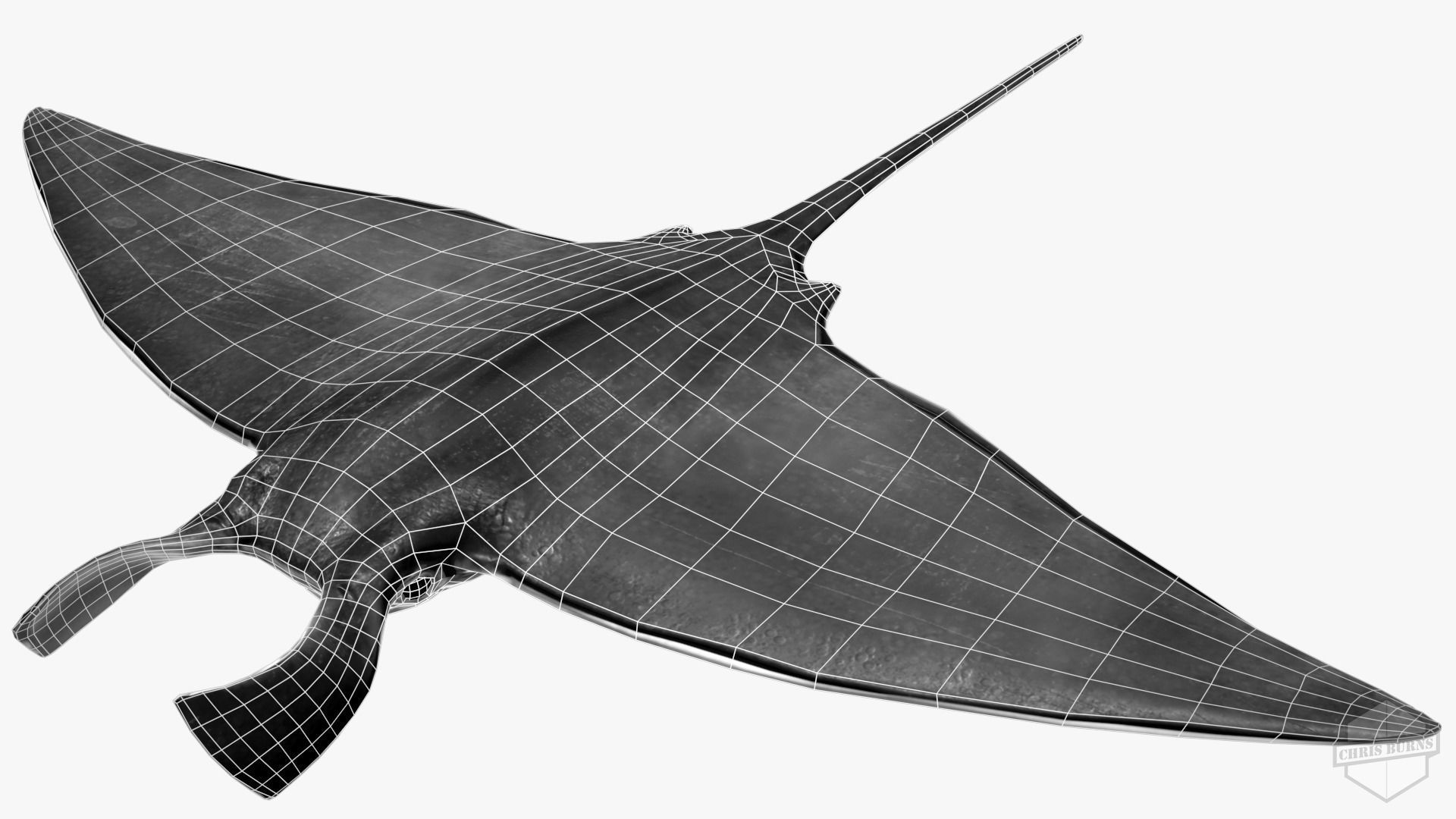 Rigged and Animated Manta ray sea creature Low-poly 3D model_11
